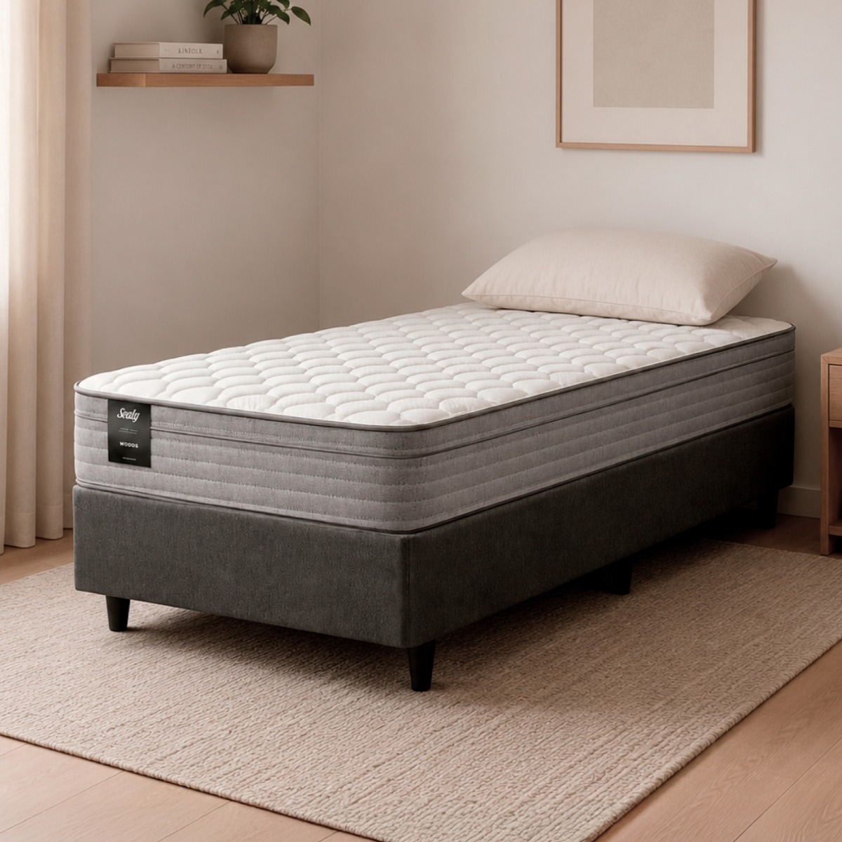 Sommier 1 Plaza Espuma Sealy Woods (080x190)