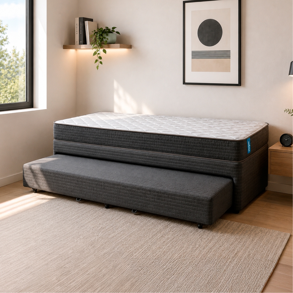 Diván Cama 1 Plaza y Media Duo Meyer Dream (090x190)